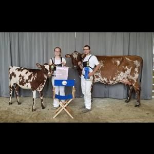 Meet your Posher, Leslie